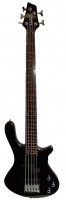 5-�������� ��� WASHBURN