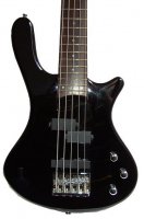 5-�������� ��� WASHBURN